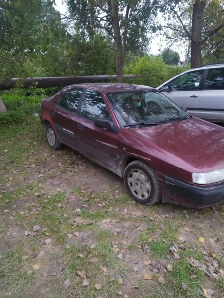 Citroen Xantia X1, 1995 г.