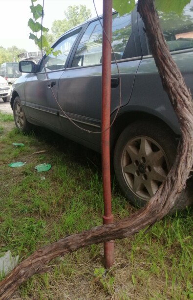 Ford Scorpio I, 1988 г.