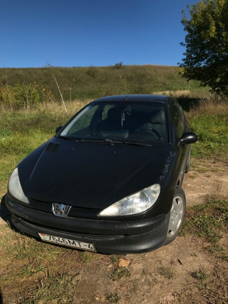 Peugeot 206 I, 2000 г.