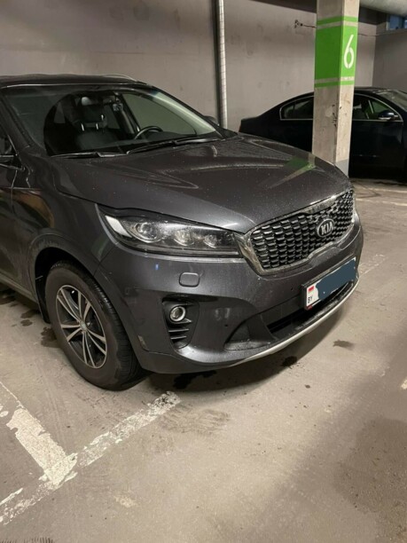 Kia Sorento III · Рестайлинг, 2019 г.