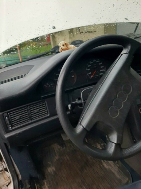 Audi 100 С3, 1987 г.