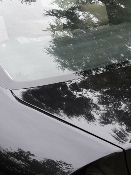 Volkswagen Passat B6, 2008 г.