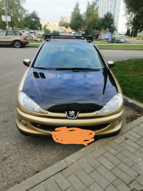 Peugeot 206 I, 2004 г.