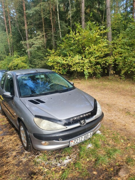 Peugeot 206 I, 2002 г.