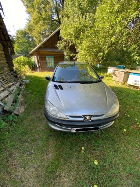 Peugeot 206 I, 2002 г.