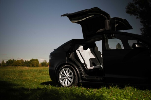 Tesla Model X, 2019 г.