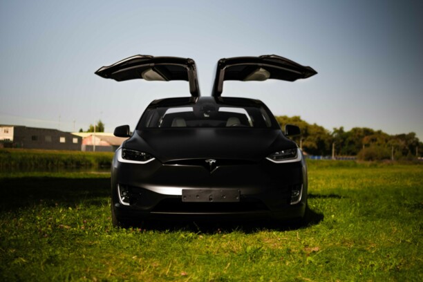 Tesla Model X, 2019 г.
