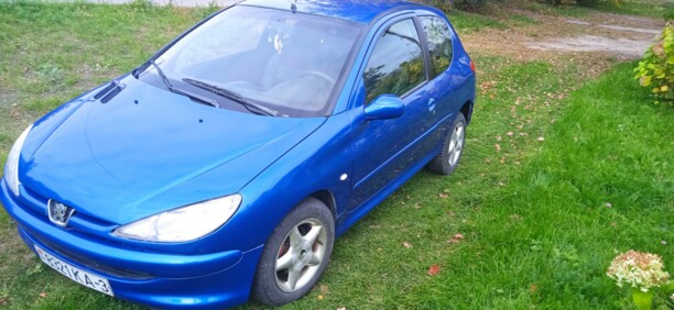 Peugeot 206 I, 2001 г.