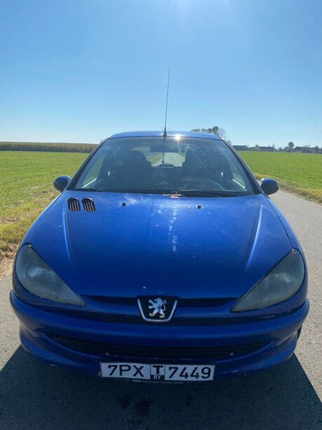 Peugeot 206 I, 2002 г.