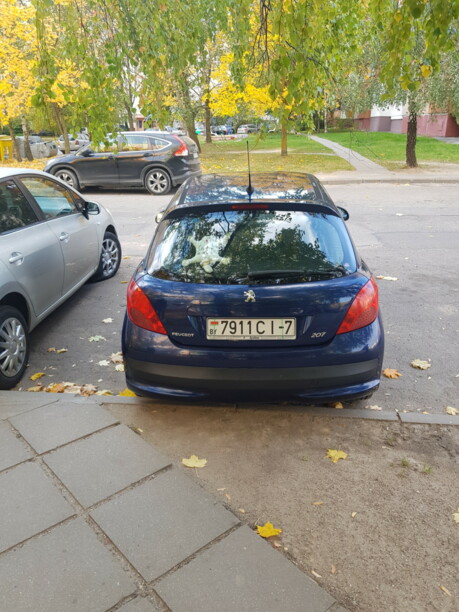 Peugeot 207 I, 2008 г.