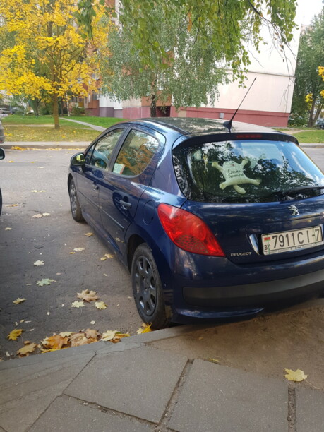 Peugeot 207 I, 2008 г.