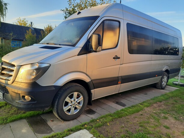 Mercedes-Benz Sprinter 319, 2013 г.