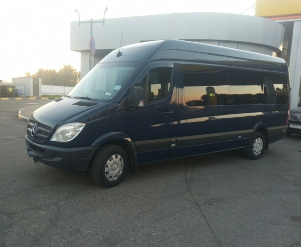 Mercedes-Benz Sprinter 316, 2012 г.