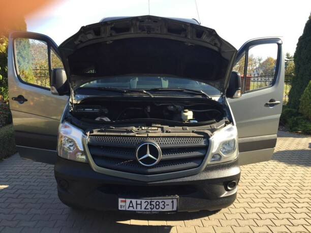 Mercedes-Benz Sprinter, 2009 г.