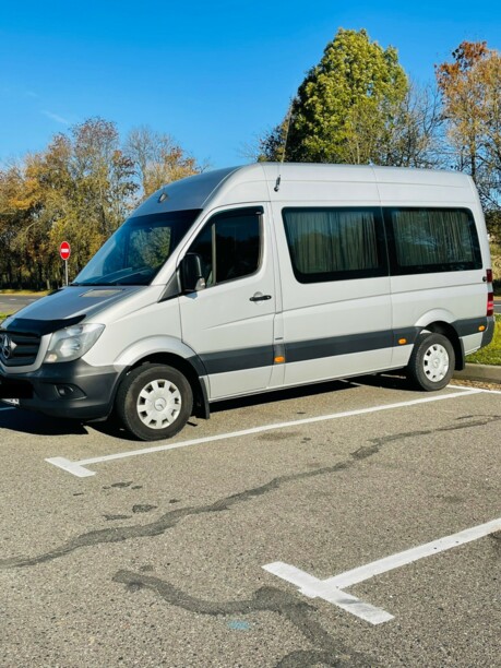 Mercedes-Benz Sprinter 216, 2014 г.