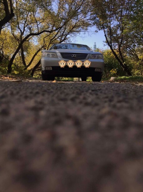 Hyundai Grandeur TG, 2006 г.