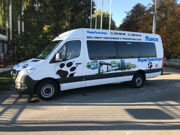 Mercedes-Benz Sprinter 311, 2019 г.