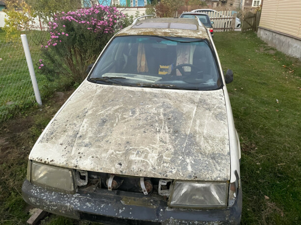 Fiat Tempra, 1993 г.