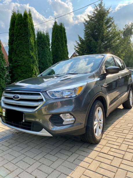 Ford Escape III · Рестайлинг, 2019 г.