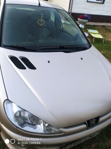 Peugeot 206 I, 2008 г.