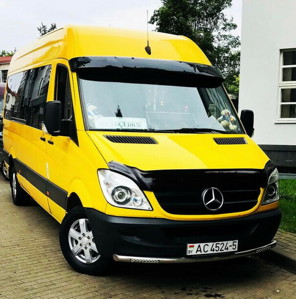 Mercedes-Benz Sprinter 906, 2008 г.