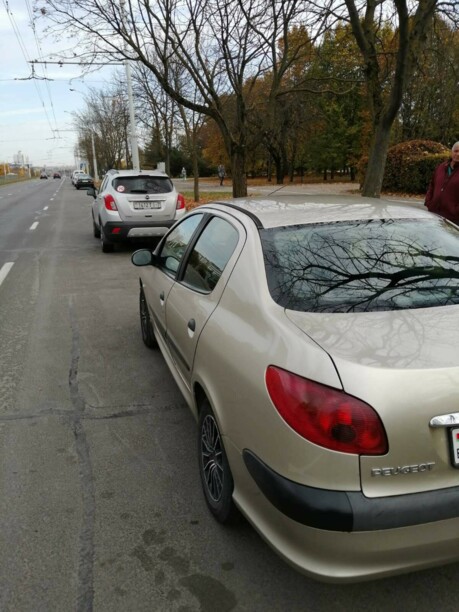 Peugeot 206 I, 2009 г.