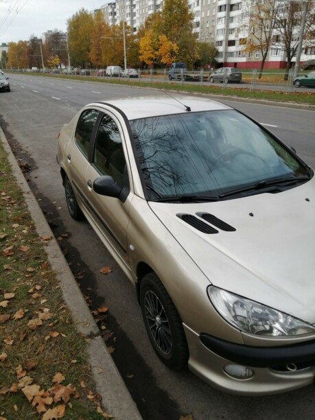 Peugeot 206 I, 2009 г.