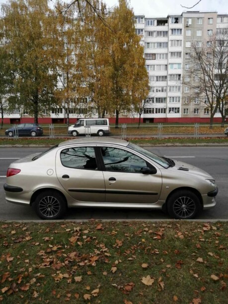 Peugeot 206 I, 2009 г.