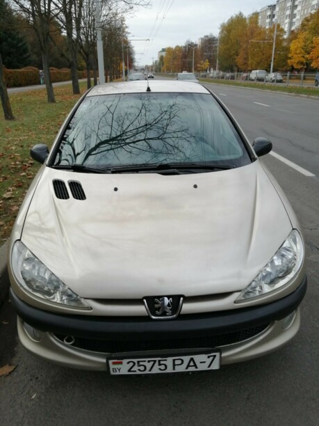Peugeot 206 I, 2009 г.