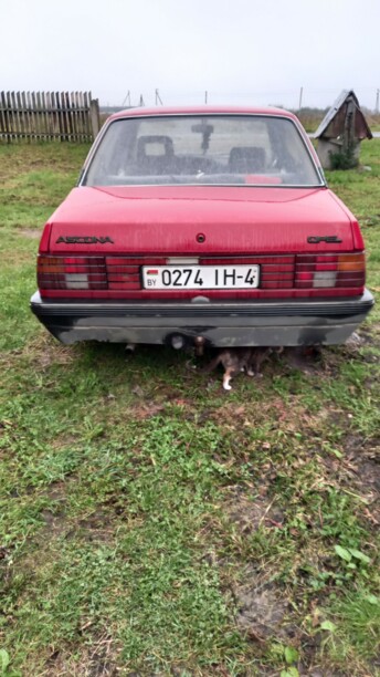 Opel Ascona C, 1982 г.