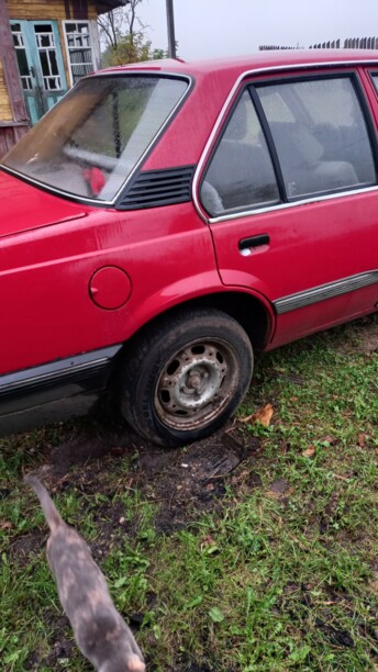 Opel Ascona C, 1982 г.