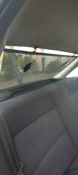 Audi 80 B3, 1991 г.