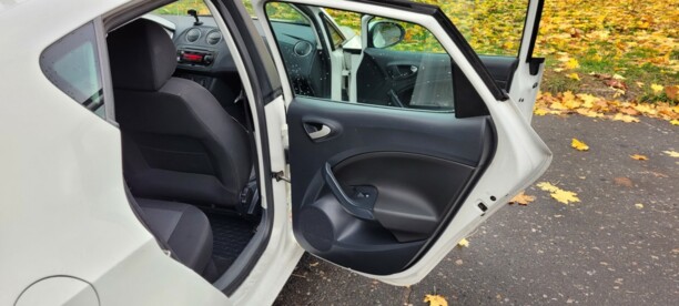 SEAT Ibiza IV, 2010 г.