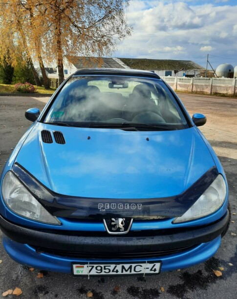 Peugeot 206 I, 2000 г.