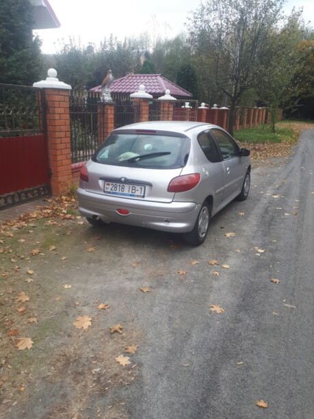 Peugeot 206 I, 1999 г.