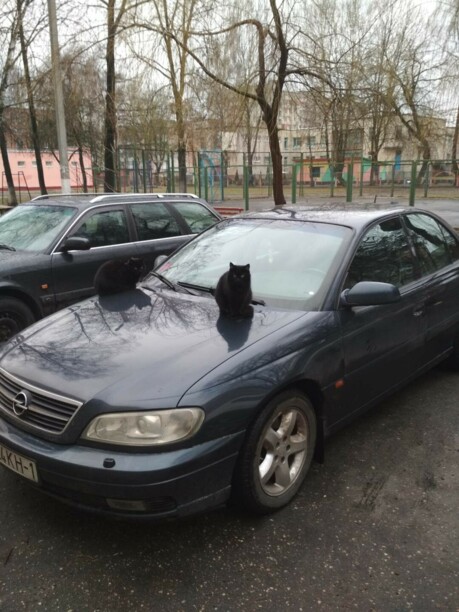 Opel Omega B · Рестайлинг, 2000 г.