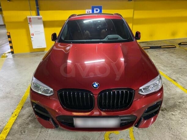 BMW X4 G02, 2019 г.