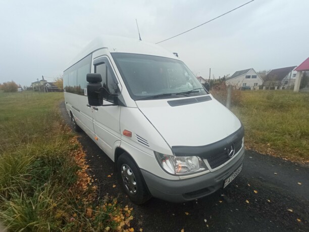 Mercedes-Benz Sprinter 313, 2004 г.