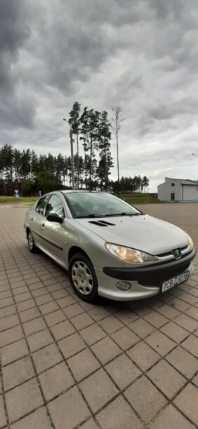 Peugeot 206 I, 2007 г.