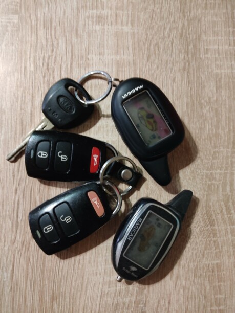 Kia Carnival II, 7 мест, 2008 г.