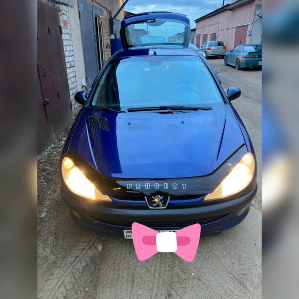 Peugeot 206 I, 2002 г.