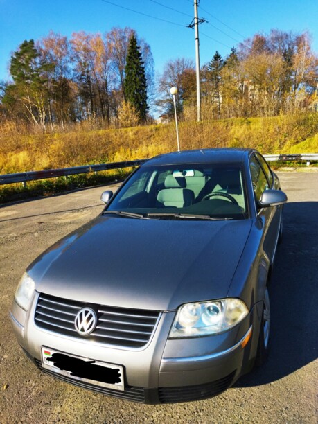 Volkswagen Passat B5, 2004 г.