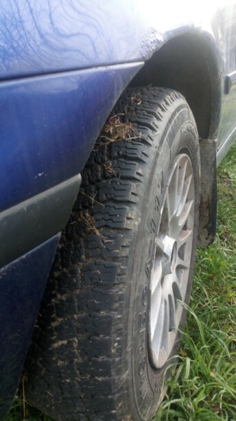 Fiat Palio I, 2001 г.