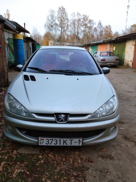 Peugeot 206 I, 2004 г.