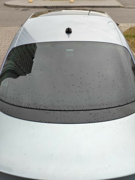 Volkswagen Passat CC I, 2009 г.