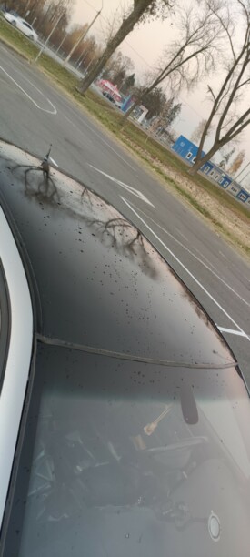 BMW 5 серия E39, 1998 г.