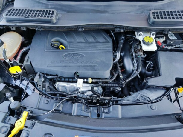 Ford Escape III · Рестайлинг, 2018 г.