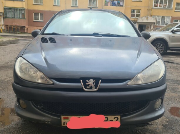 Peugeot 206 I, 2007 г.