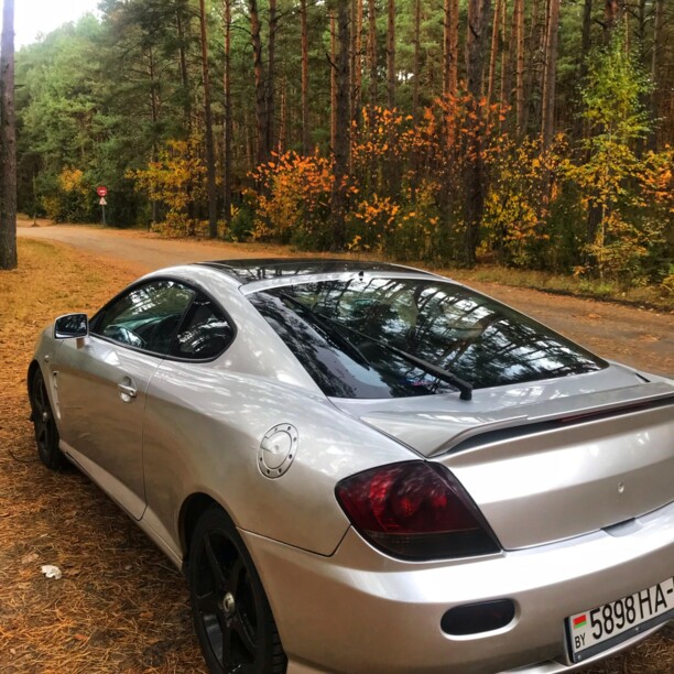 Hyundai Tiburon GK, 2004 г.