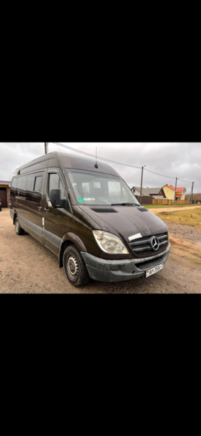 Mercedes-Benz Sprinter, 2009 г.
